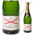 Champagne Castellane Brut Champagne