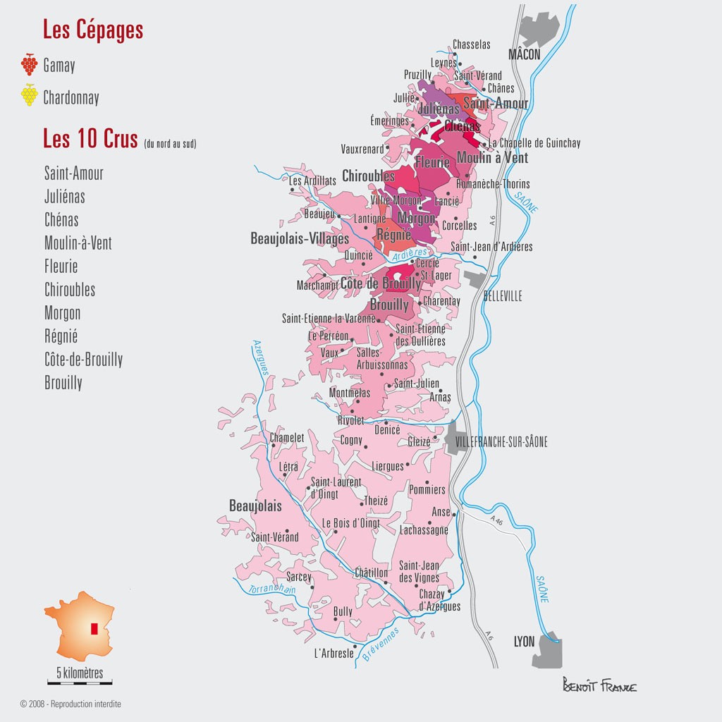 Le Beaujolais Wyyne Com 1er Specialiste Du Vin Casher Le Beaujolais Wyyne Com 1er Specialiste Du Vin Casher